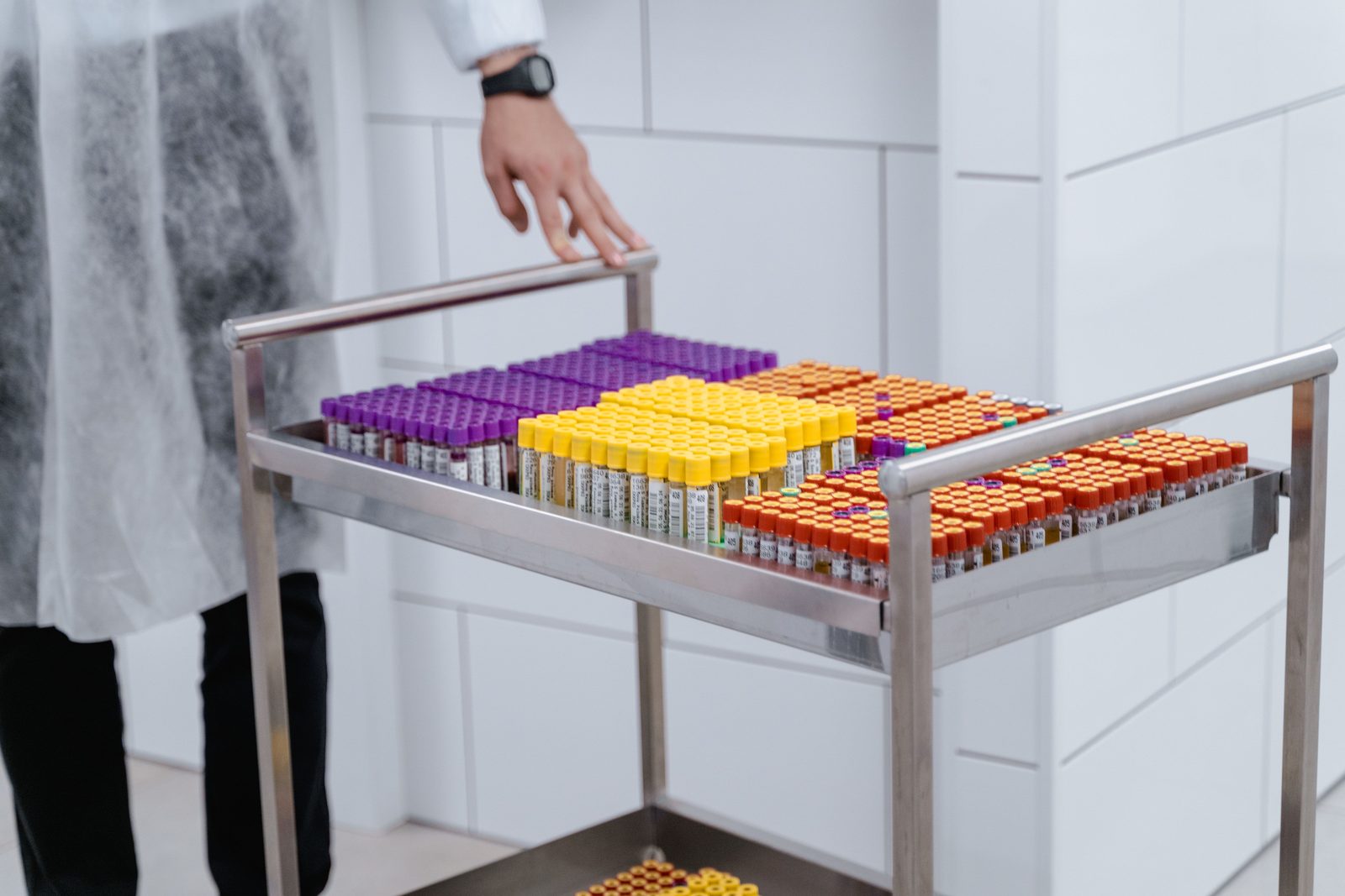 Lavender, gold, and red-top blood collection tubes racked together in a hospital lab