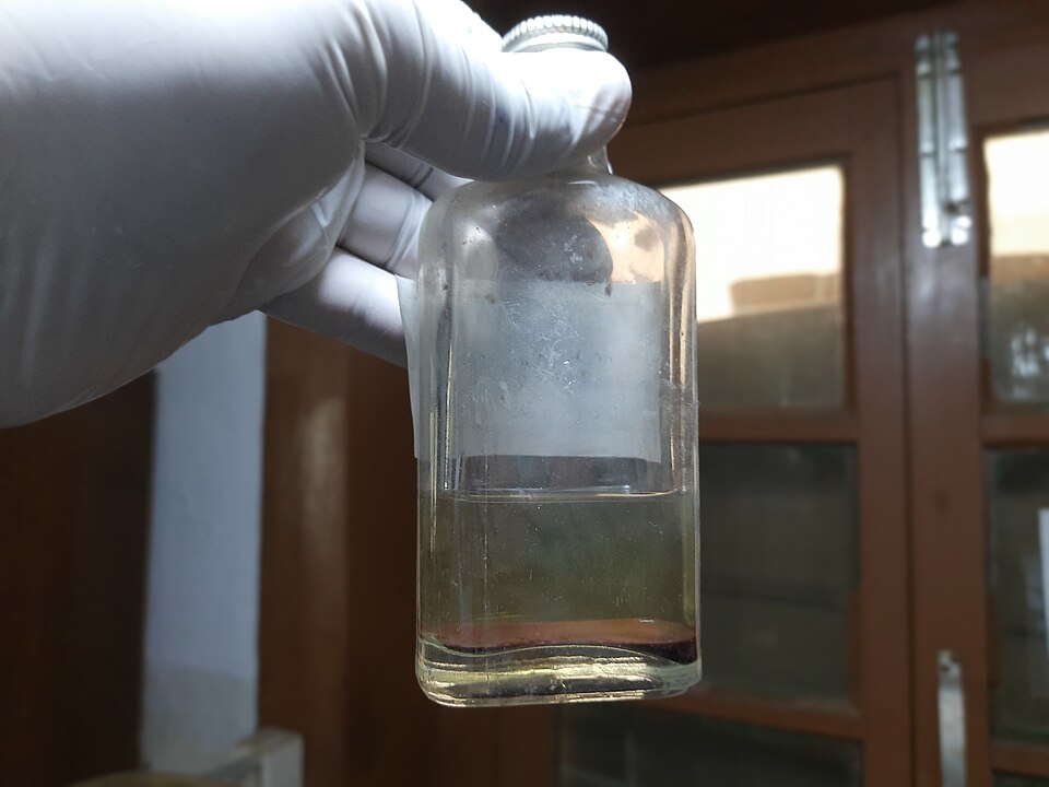 A gloved hand holds an unlabeled glass blood-culture bottle with liquid medium; no patient information is visible.